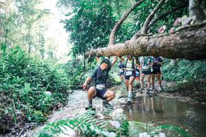 BIB: 
                            <button type="button" onclick="openModal(25445427)" class="btn btn-primary btn-sm float-right btn-popup" data-toggle="modal" data-target=".modal-high-quality">
                        <i class="fas fa-shopping-cart"></i> Add to Cart
                    </button>
                                            <button type="button" onclick="isThisMe(25445427, true)" class="btn btn-success btn-sm float-right btn-popup btn-isme hidden" data-toggle="tooltip" data-placement="bottom" title="นี่คือรูปของคุณใช่ไหม คลิกที่นี่เพื่อเอาเข้าอัลบั้ม">
                        <i class="fas fa-plus"></i> Add to album
                    </button>
                    <button type="button" onclick="isThisMe(25445427, false)" class="btn btn-warning btn-sm float-right btn-popup btn-isnotme hidden">
                        <i class="fas fa-ban"></i> Remove from album
                    </button>